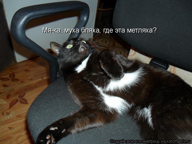 Мя-ка, муха бляха, где эта метляха?... Котоматрица: Мя-ка, муха бляха, где эта метляха?