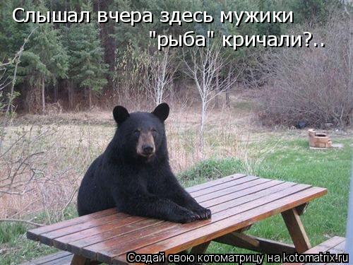 Слышал вчера здесь мужики "рыба" кричали?..... Котоматрица: Слышал вчера здесь мужики "рыба" кричали?..