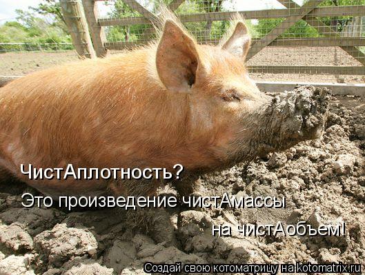 ЧистАплотность? Это произведение чистАмассы на чистАобъем!... Котоматрица: ЧистАплотность? Это произведение чистАмассы на чистАобъем!
