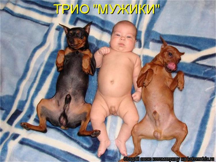 ТРИО "МУЖИКИ"... Котоматрица: ТРИО "МУЖИКИ"