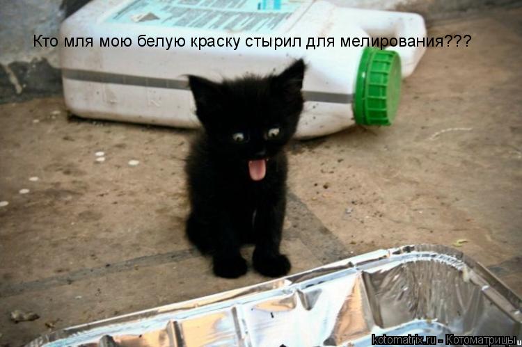 Котоматрица: Кто мля мою белую краску стырил для мелирования???