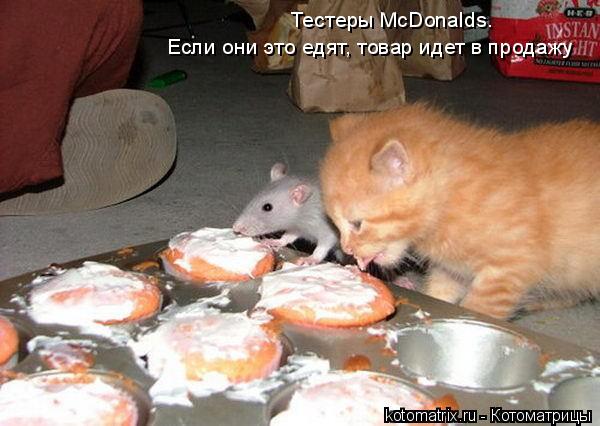 Котоматрица: Тестеры McDonalds. Если они это едят, товар идет в продажу