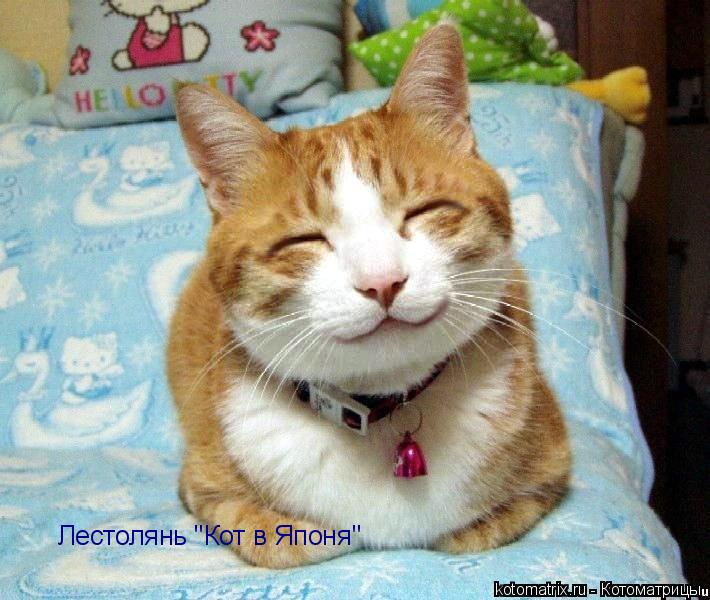 Лестолянь "Кот в Японя"... Котоматрица: Лестолянь "Кот в Японя"