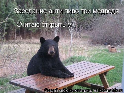 Заседание анти пиво три медведя Считаю открытым... Котоматрица: Заседание анти пиво три медведя Считаю открытым