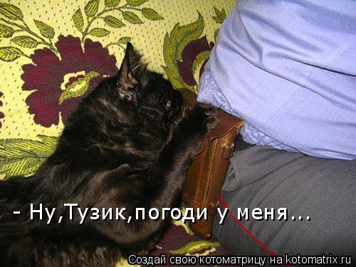 - Ну,Тузик,погоди у меня...... Котоматрица: - Ну,Тузик,погоди у меня...