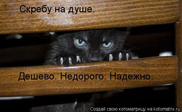 Скребу на душе. Дешево. Недорого. Надежно.... Котоматрица: Скребу на душе. Дешево. Недорого. Надежно.