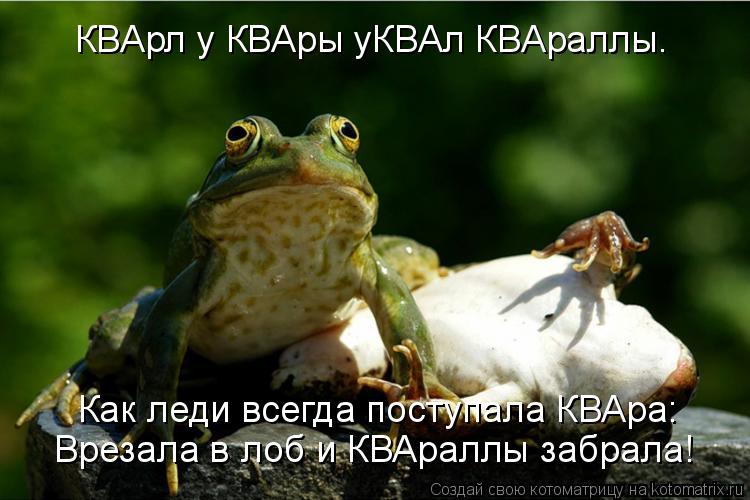 Котоматрица: КВАрл у КВАры уКВАл КВАраллы. Врезала в лоб и КВАраллы забрала! Как леди всегда поступала КВАра: