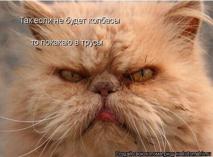 Так если не будет колбасы то покакаю в трусы... Котоматрица: Так если не будет колбасы то покакаю в трусы