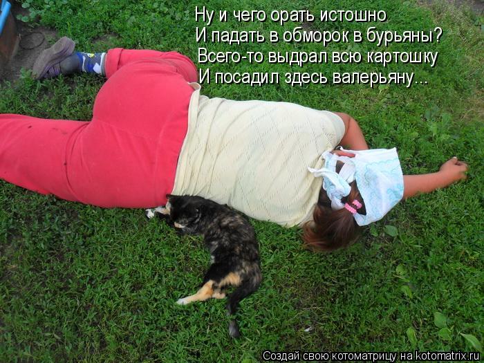 Ну и чего орать истошно И падать в обморок в бурьяны? Всего-то выдрал всю картошку И посадил здесь ва... Котоматрица: Ну и чего орать истошно И падать в обморок в бурьяны? Всего-то выдрал всю картошку И посадил здесь валерьяну...