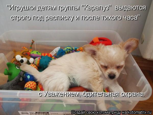 "Игрушки детям группы "Карапуз" выдаются строго под расписку и после тихого часа" с Уважением, бдите... Котоматрица: "Игрушки детям группы "Карапуз" выдаются строго под расписку и после тихого часа" с Уважением, бдительная охрана.