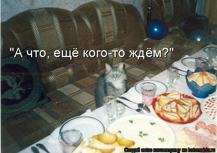 "А что, ещё кого-то ждём?"... Котоматрица: "А что, ещё кого-то ждём?"