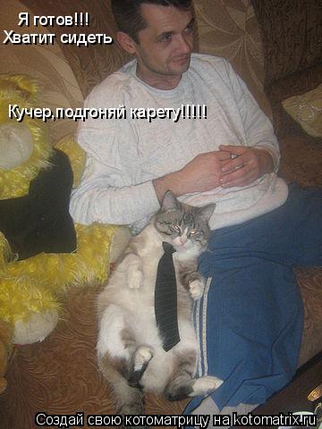 Я готов!!! Хватит сидеть Кучер,подгоняй карету!!!!!... Котоматрица: Я готов!!! Хватит сидеть Кучер,подгоняй карету!!!!!