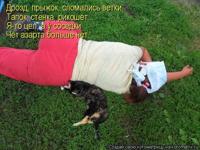 Дрозд, прыжок, сломались ветки, Тапок, стенка, рикошет... Я-то цел, а у соседки Чёт азарта больше нет... Котоматрица: Дрозд, прыжок, сломались ветки, Тапок, стенка, рикошет... Я-то цел, а у соседки Чёт азарта больше нет.