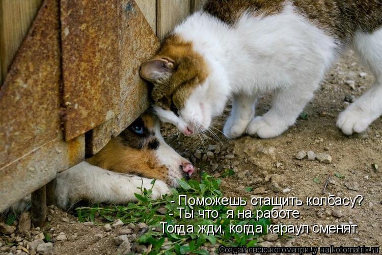- Поможешь стащить колбасу? - Ты что, я на работе. - Тогда жди, когда караул сменят.... Котоматрица: - Поможешь стащить колбасу? - Ты что, я на работе. - Тогда жди, когда караул сменят.