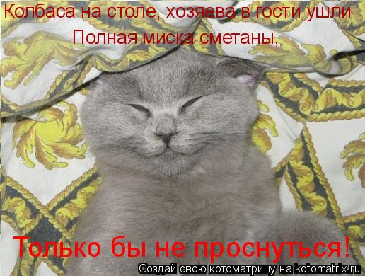 Колбаса на столе, хозяева в гости ушли Полная миска сметаны, Только бы не проснуться!... Котоматрица: Колбаса на столе, хозяева в гости ушли Полная миска сметаны, Только бы не проснуться!