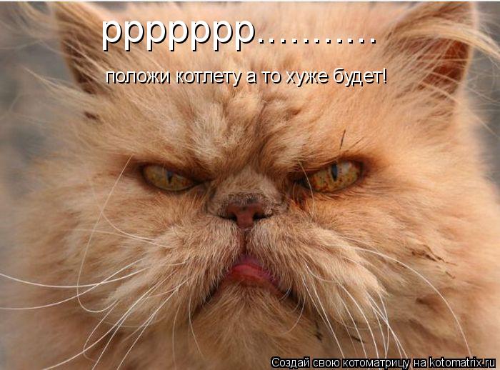 положи котлету а то хуже будет! ррррррр.............. Котоматрица: положи котлету а то хуже будет! ррррррр...........