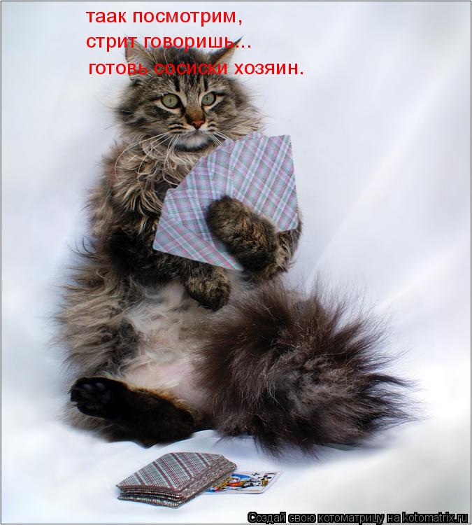 таак посмотрим, стрит говоришь... готовь сосиски хозяин.... Котоматрица: таак посмотрим, стрит говоришь... готовь сосиски хозяин.