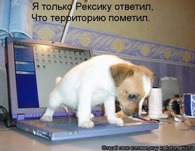 Я только Рексику ответил, Что территорию пометил.... Котоматрица: Я только Рексику ответил, Что территорию пометил.
