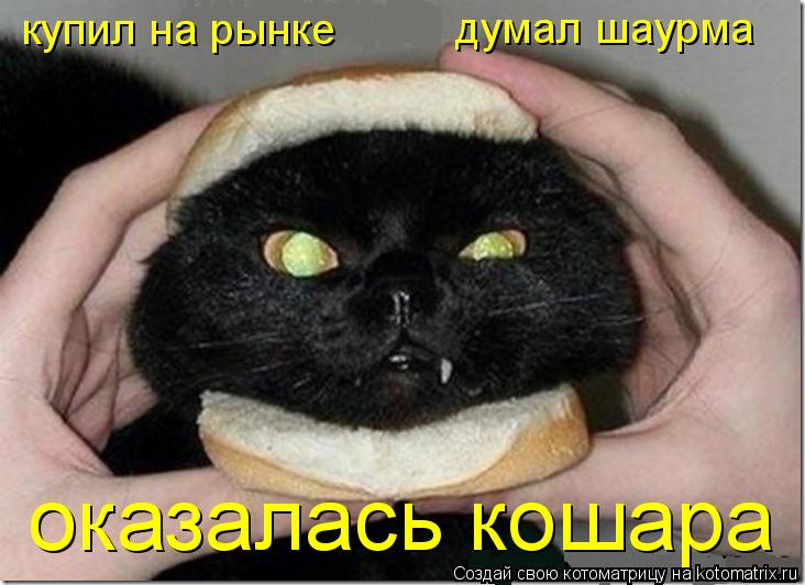 купил на рынке думал шаурма оказалась кошара... Котоматрица: купил на рынке думал шаурма оказалась кошара