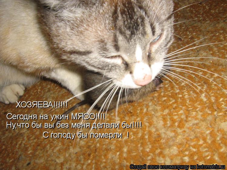 ХОЗЯЕВА!!!!!! Сегодня на ужин МЯСО!!!! Ну,что бы вы без меня делали бы!!!! С голоду бы померли !... Котоматрица: ХОЗЯЕВА!!!!!! Сегодня на ужин МЯСО!!!! Ну,что бы вы без меня делали бы!!!! С голоду бы померли !