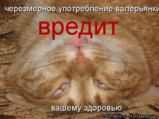 черезмерное употребление валерьянки вредит вашему здоровью... Котоматрица: черезмерное употребление валерьянки вредит вашему здоровью