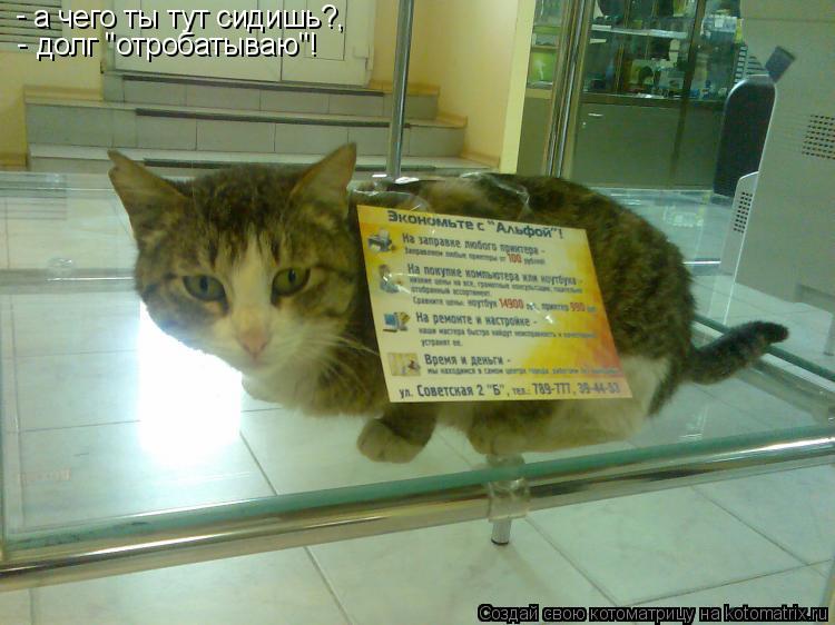 а чего ты тут сидишь?, долг "отробатываю"! - -... Котоматрица: а чего ты тут сидишь?, долг "отробатываю"! - -