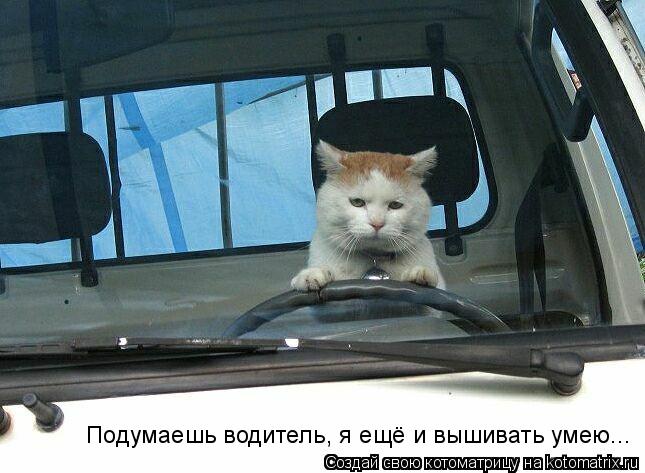 Подумаешь водитель, я ещё и вышивать умею...... Котоматрица: Подумаешь водитель, я ещё и вышивать умею...
