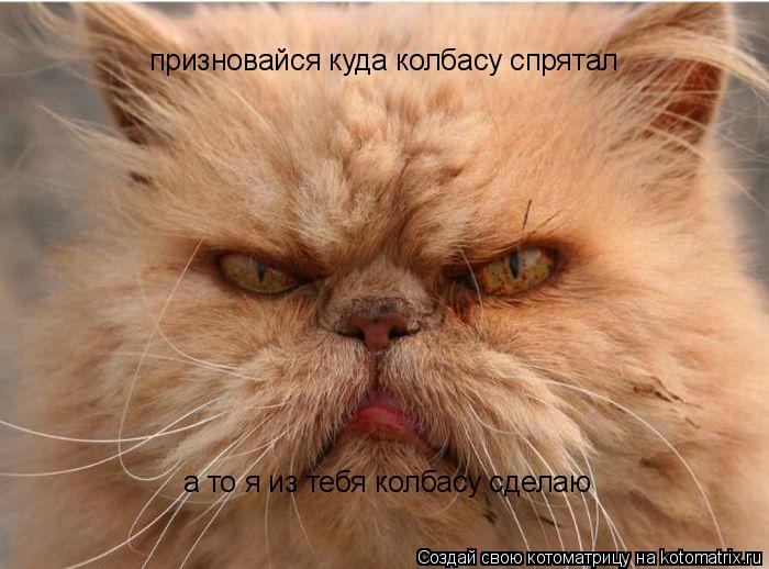 призновайся куда колбасу спрятал а то я из тебя колбасу сделаю... Котоматрица: призновайся куда колбасу спрятал а то я из тебя колбасу сделаю