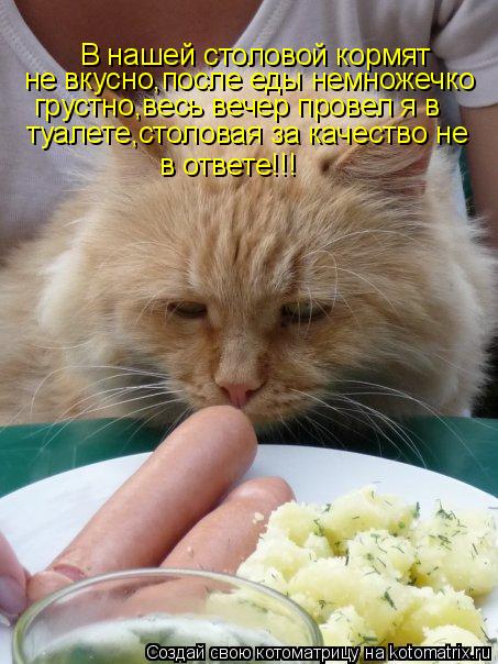 В нашей столовой кормят не вкусно,после еды немножечко грустно,весь вечер провел я в туалете,столо... Котоматрица: В нашей столовой кормят не вкусно,после еды немножечко грустно,весь вечер провел я в туалете,столовая за качество не в ответе!!!