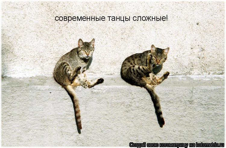 современные танцы сложные!... Котоматрица: современные танцы сложные!