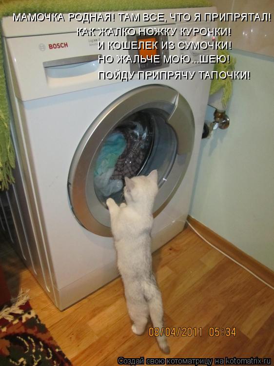 МАМОЧКА РОДНАЯ! ТАМ ВСЕ, ЧТО Я ПРИПРЯТАЛ! КАК ЖАЛКО НОЖКУ КУРОЧКИ! И КОШЕЛЕК ИЗ СУМОЧКИ! НО ЖАЛЬЧЕ МО... Котоматрица: МАМОЧКА РОДНАЯ! ТАМ ВСЕ, ЧТО Я ПРИПРЯТАЛ! КАК ЖАЛКО НОЖКУ КУРОЧКИ! И КОШЕЛЕК ИЗ СУМОЧКИ! НО ЖАЛЬЧЕ МОЮ...ШЕЮ! ПОЙДУ ПРИПРЯЧУ ТАПОЧКИ!