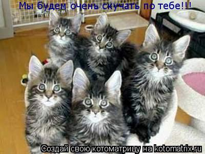 Мы будем очень скучать по тебе!!!... Котоматрица: Мы будем очень скучать по тебе!!!