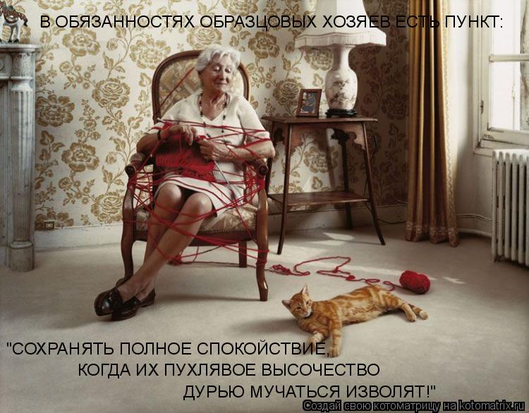 В ОБЯЗАННОСТЯХ ОБРАЗЦОВЫХ ХОЗЯЕВ ЕСТЬ ПУНКТ: "СОХРАНЯТЬ ПОЛНОЕ СПОКОЙСТВИЕ, КОГДА ИХ ПУХЛЯВОЕ ВЫСОЧЕС... Котоматрица: В ОБЯЗАННОСТЯХ ОБРАЗЦОВЫХ ХОЗЯЕВ ЕСТЬ ПУНКТ: "СОХРАНЯТЬ ПОЛНОЕ СПОКОЙСТВИЕ, КОГДА ИХ ПУХЛЯВОЕ ВЫСОЧЕСТВО ДУРЬЮ МУЧАТЬСЯ ИЗВОЛЯТ!"