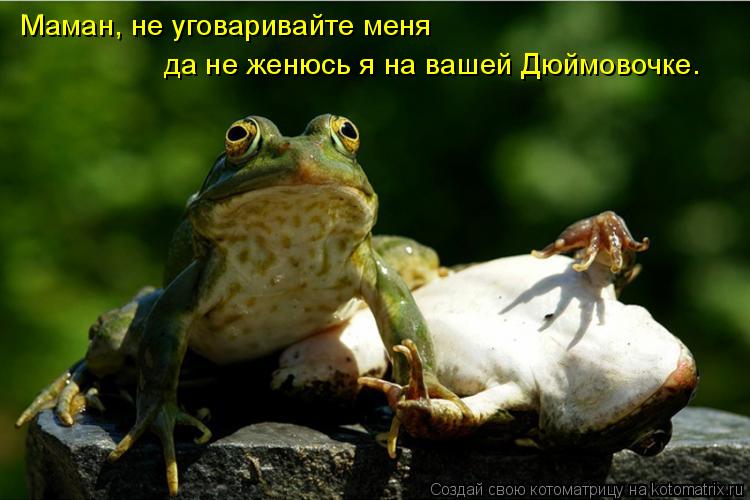 Маман, не уговаривайте меня да не женюсь я на вашей Дюймовочке.... Котоматрица: Маман, не уговаривайте меня да не женюсь я на вашей Дюймовочке.