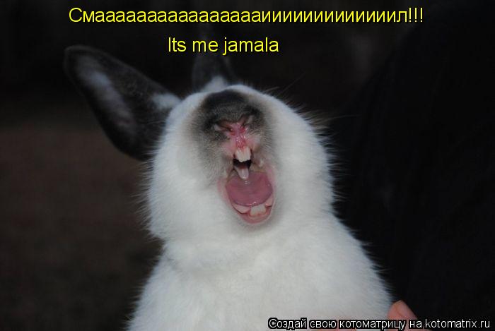 Смааааааааааааааааииииииииииииил!!! Its me jamala... Котоматрица: Смааааааааааааааааииииииииииииил!!! Its me jamala