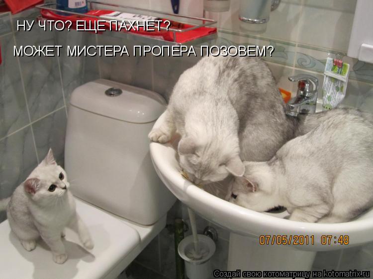 НУ ЧТО? ЕЩЕ ПАХНЕТ? МОЖЕТ МИСТЕРА ПРОПЕРА ПОЗОВЕМ?... Котоматрица: НУ ЧТО? ЕЩЕ ПАХНЕТ? МОЖЕТ МИСТЕРА ПРОПЕРА ПОЗОВЕМ?
