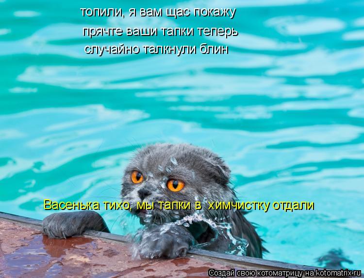 прячте ваши тапки теперь случайно талкнули блин Васенька тихо, мы тапки в химчистку отдали топили, я... Котоматрица: прячте ваши тапки теперь случайно талкнули блин Васенька тихо, мы тапки в химчистку отдали топили, я вам щас покажу
