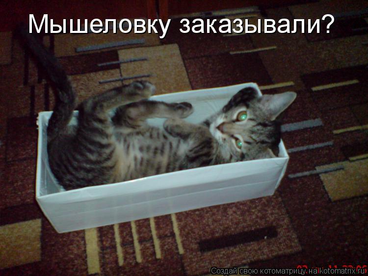 Мышеловку заказывали?... Котоматрица: Мышеловку заказывали?