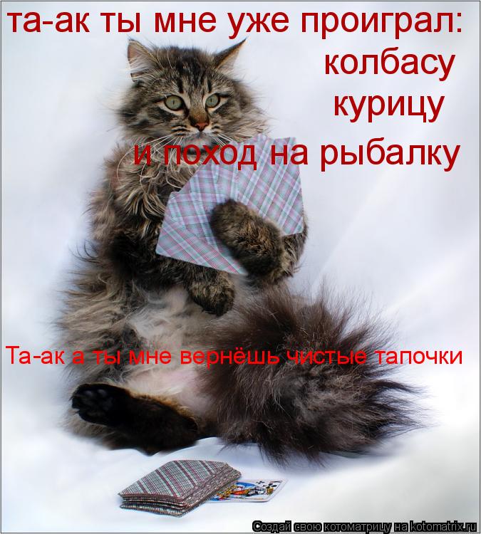 та-ак ты мне уже проиграл: колбасу курицу и поход на рыбалку Та-ак а ты мне вернёшь чистые тапочки... Котоматрица: та-ак ты мне уже проиграл: колбасу курицу и поход на рыбалку Та-ак а ты мне вернёшь чистые тапочки