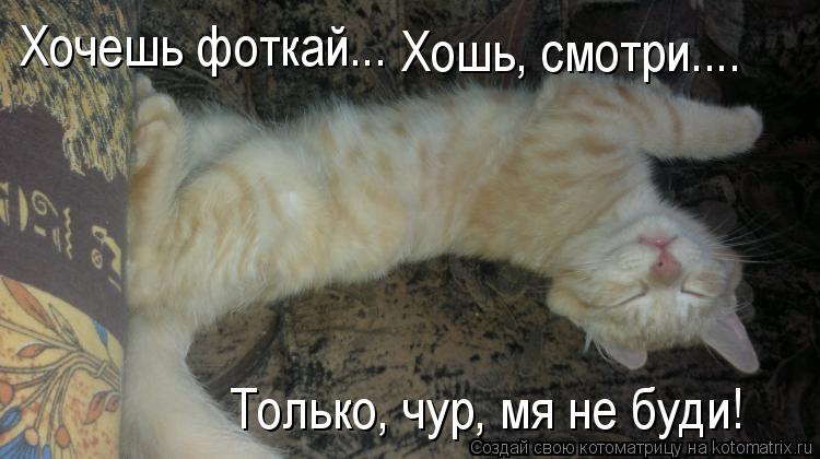Хочешь фоткай... Хошь, смотри.... Только, чур, мя не буди!... Котоматрица: Хочешь фоткай... Хошь, смотри.... Только, чур, мя не буди!