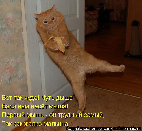 Так как жалко малыша... Первый мышь - он трудный самый, Вася нам несёт мыша! Вот так чудо! Чуть дыша... Котоматрица: Так как жалко малыша... Первый мышь - он трудный самый, Вася нам несёт мыша! Вот так чудо! Чуть дыша