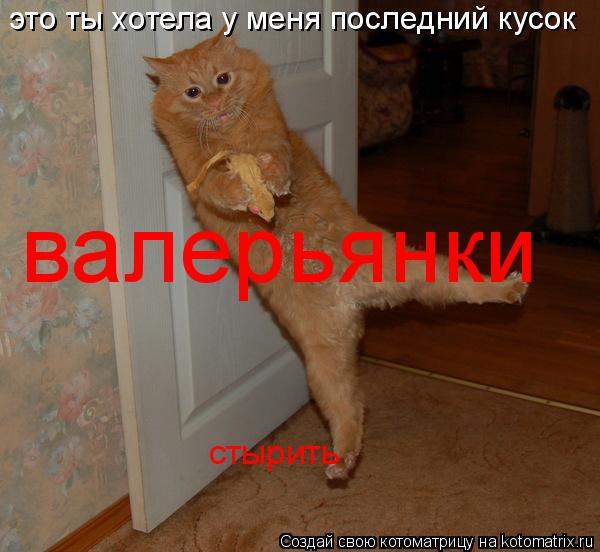 это ты хотела у меня последний кусок валерьянки стырить... Котоматрица: это ты хотела у меня последний кусок валерьянки стырить