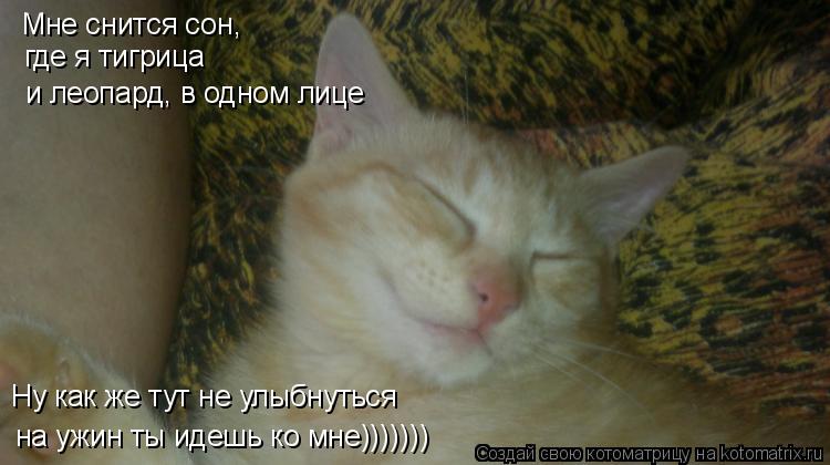 Мне снится сон, где я тигрица Ну как же тут не улыбнуться и леопард, в одном лице на ужин ты идешь к... Котоматрица: Мне снится сон, где я тигрица Ну как же тут не улыбнуться и леопард, в одном лице на ужин ты идешь ко мне)))))))