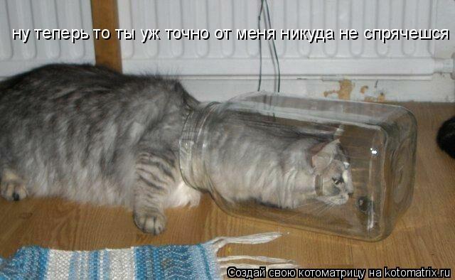 ну теперь то ты уж точно от меня никуда не спрячешся ну теперь то ты уж точно от меня никуда не спряч... Котоматрица: ну теперь то ты уж точно от меня никуда не спрячешся ну теперь то ты уж точно от меня никуда не спрячешся