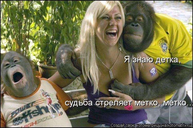 Я знаю детка, судьба стреляет метко, метко....... Котоматрица: Я знаю детка, судьба стреляет метко, метко....