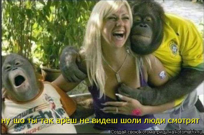 ну шо ты так арёш не видеш шоли люди смотрят... Котоматрица: ну шо ты так арёш не видеш шоли люди смотрят