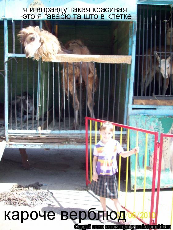 я и вправду такая красивая -это я гаварю та што в клетке ... Котоматрица: я и вправду такая красивая -это я гаварю та што в клетке -это я гаварю та