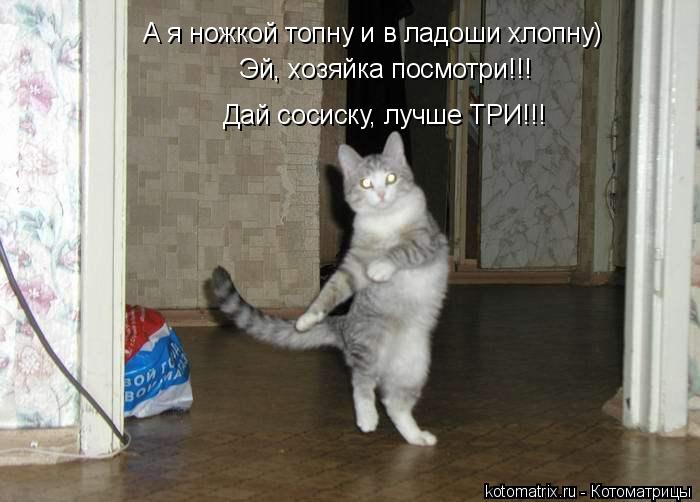 А я ножкой топну и в ладоши хлопну) Эй, хозяйка посмотри!!! Дай сосиску, лучше ТРИ!!!... Котоматрица: А я ножкой топну и в ладоши хлопну) Эй, хозяйка посмотри!!! Дай сосиску, лучше ТРИ!!!