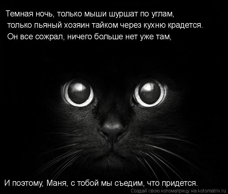 Темная ночь, только мыши шуршат по углам, только пьяный хозяин тайком через кухню крадется. И поэто... Котоматрица: Темная ночь, только мыши шуршат по углам, только пьяный хозяин тайком через кухню крадется. И поэтому, Маня, с тобой мы съедим, что придется.