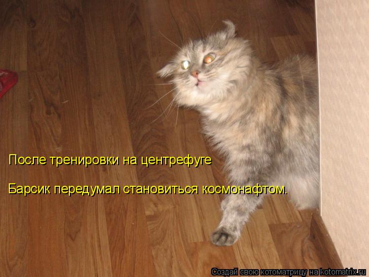 После тренировки на центрефуге Барсик передумал становиться космонафтом.... Котоматрица: После тренировки на центрефуге Барсик передумал становиться космонафтом.